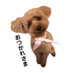 ココアおばあちゃんの毎日2