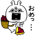 ピタうさぎ田舎の方言