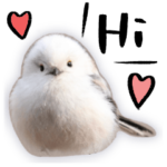 おしゃべりシマエナガちゃん２