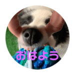 ケロレオ2022.5.1