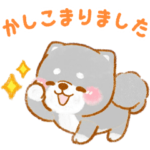 ▶動く黒柴❤️お仕事敬語1❤️いやしばいぬ