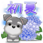 ほのぼの初夏♪