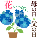 花いっぱい_母の日父の日感謝の気持ち