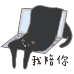 Susu Island – Susu black Cat 2