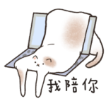 Susu Island – Susu orange Cat 2