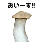 キモ激しく動く！きのこ