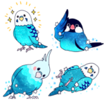 ホシゾラインコと仲間たち