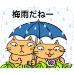 Juns の梅雨の猫たち