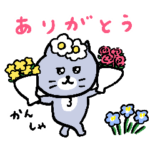 灰色キャットの陽気な日常