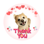 Cocoのスタンプ2022年春