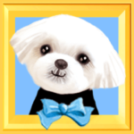 動く！ペットたち