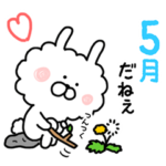 5月のボアうさぎ