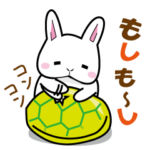 大人かわいい☆うさぎとかめ