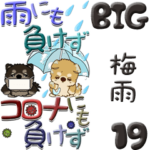 ちゃちゃ丸 19『梅雨』