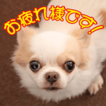 ひかるのほのぼのスタンプ1