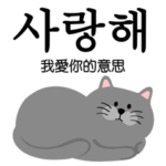 毎日がいい日です˙灰色の猫