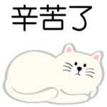 毎日がいい日です˙白い猫