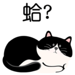毎日がいい日です˙ベンツ猫