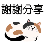 毎日がいい日です˙3匹の猫