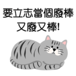 毎日がいい日です˙灰色の黒いぶち猫