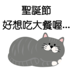 毎日がいい日です˙灰色のぶち猫
