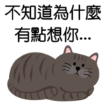毎日がいい日です˙ぶち猫