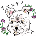 acco ウエスティスタンプ♡