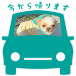 ひかるのほのぼのスタンプ2