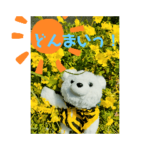 2022はるたろう2