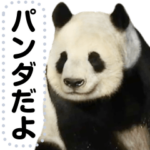 今までありがとう!いつまでも元気でね。