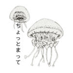 動物、イカ、クラゲなど