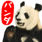 飛び出す！パンダと動物園の仲間たち