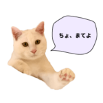 かわいい動物コミュニケーションスタンプ 4