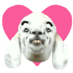 カオスな動物達