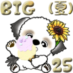 シーズー犬25『夏』