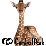 姫セン公式スタンプ　第2弾