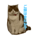 うみちゃんすたんぷ2022