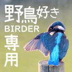 野鳥好きのためのスタンプ　#01日常