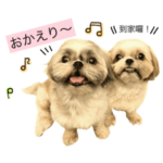 ♡ Ponyo & Coffee ♡