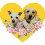 ぽにょとアールーひとことすたんぷー