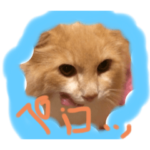 アンジュです。NO.2