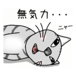 無気力 サバトラ猫