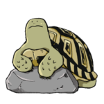 きままなリクガメさん