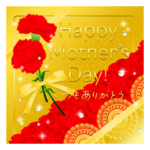 再販華やか母の日　花　キラキラ