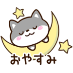 くろまめシバ２