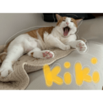 あたしンちのネコ