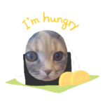 あたしンちの猫