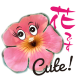 キュートな花の写真で日常会話 2