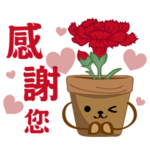 私の鉢植えの友達