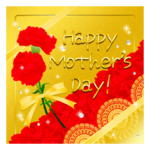 再販華やか母の日　花　キラキラ